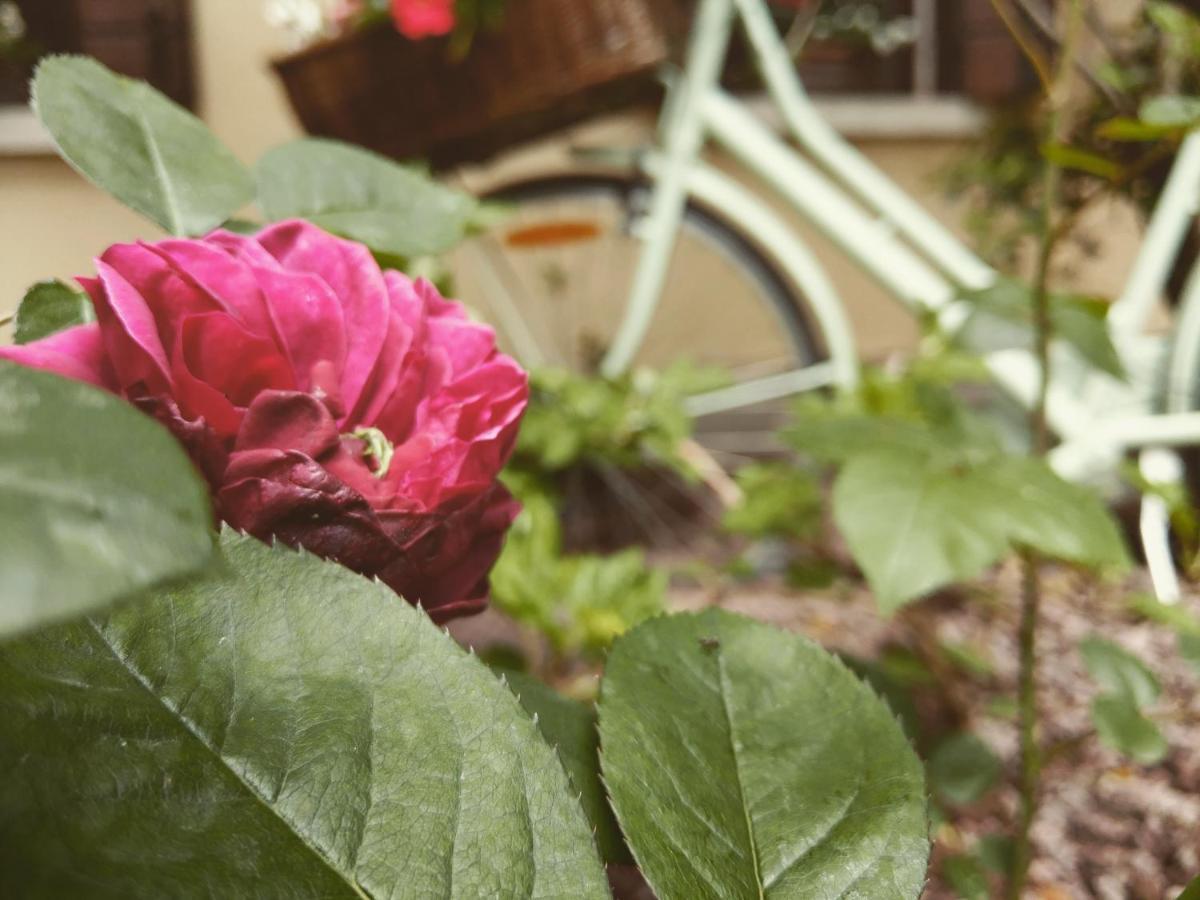 Casa Camilla Bed & Breakfast 3*